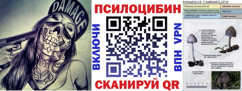 Галлюциногенные грибы ЛСД  Устюжна 